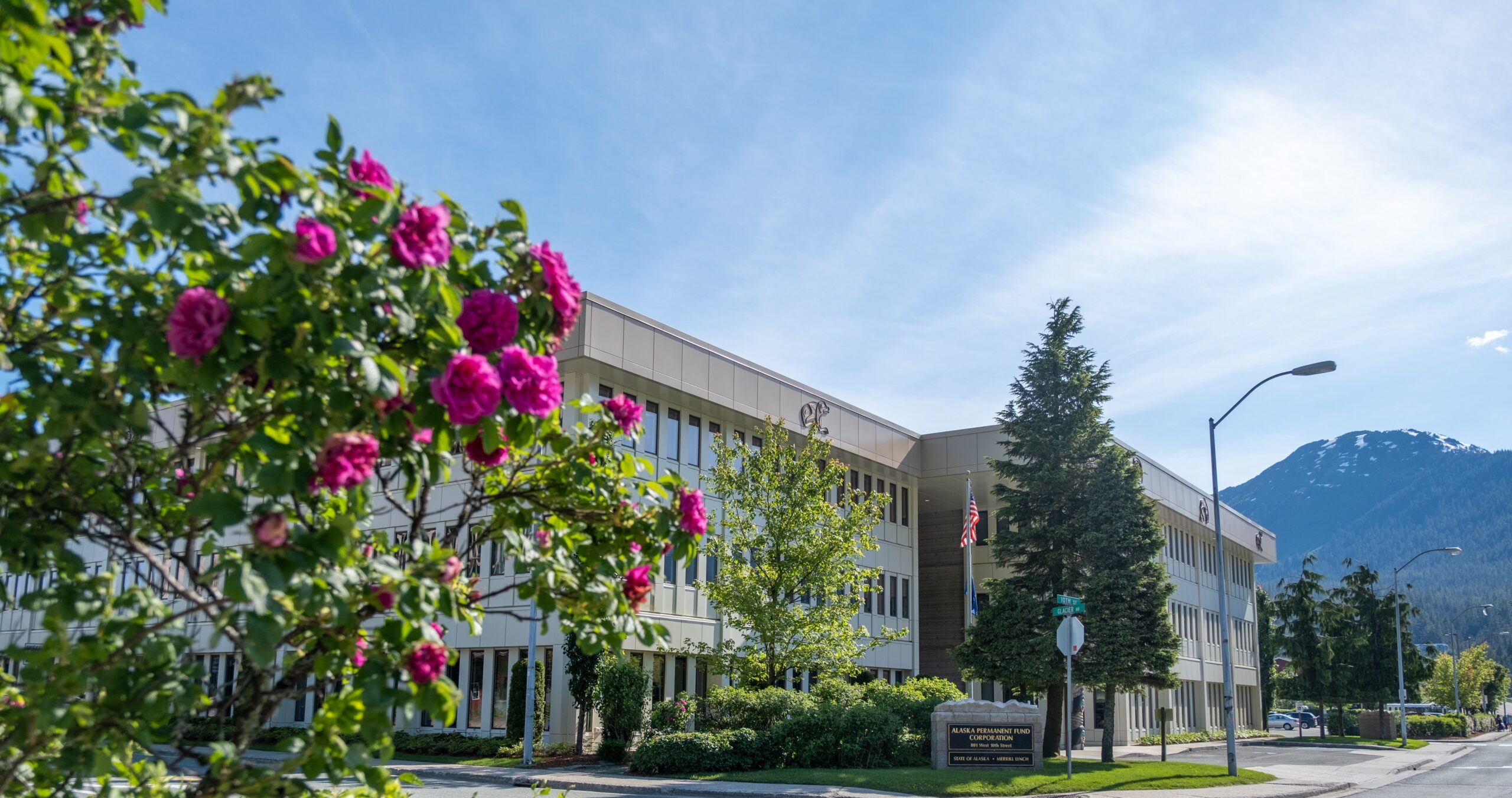 Flowers in front of the APFC building